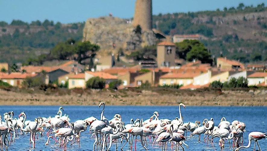 דירות גרואיסאן La Mouette Qui Miaule מראה חיצוני תמונה